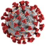 Un científico estadounidense recuperó 13 de las 200 secuencias del coronavirus hallado en Wuhan que habían sido eliminadas “sospechosamente”